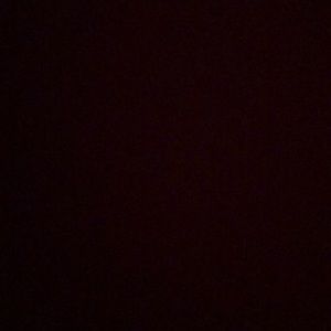 Meet your Posher, Kylyn